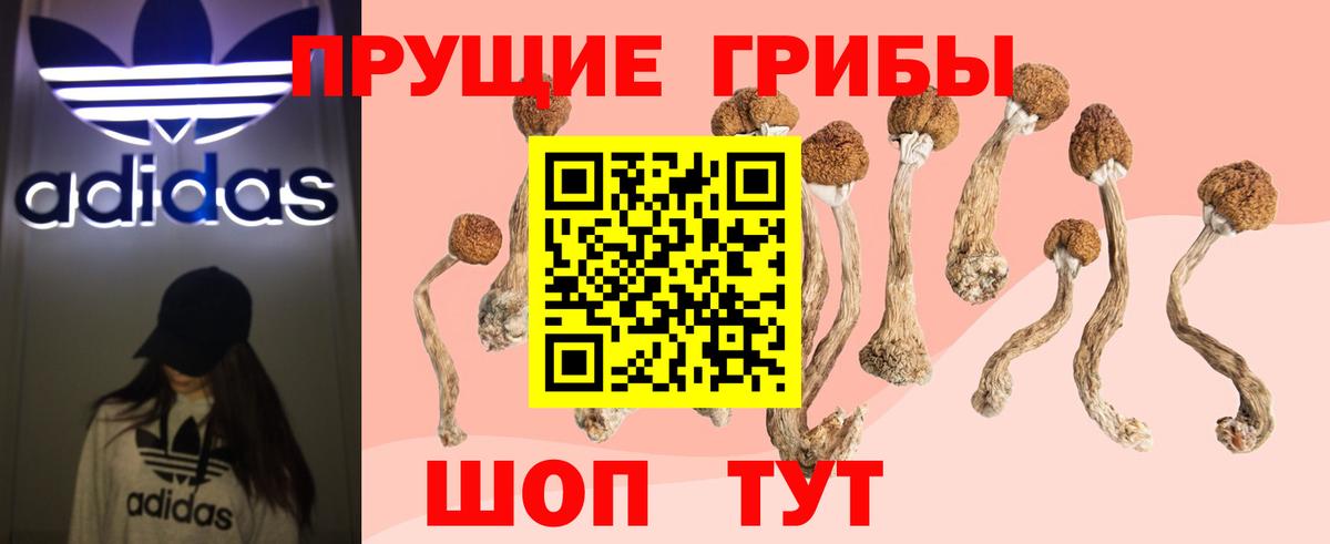 Псилоцибиновые грибы Magic Shrooms Дзержинский
