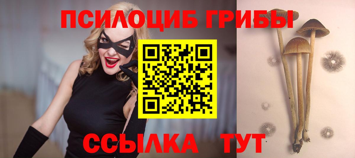 Псилоцибиновые грибы прущие грибы  Вход с VPN  Дзержинский  Псилоцибиновые грибы ЛСД 